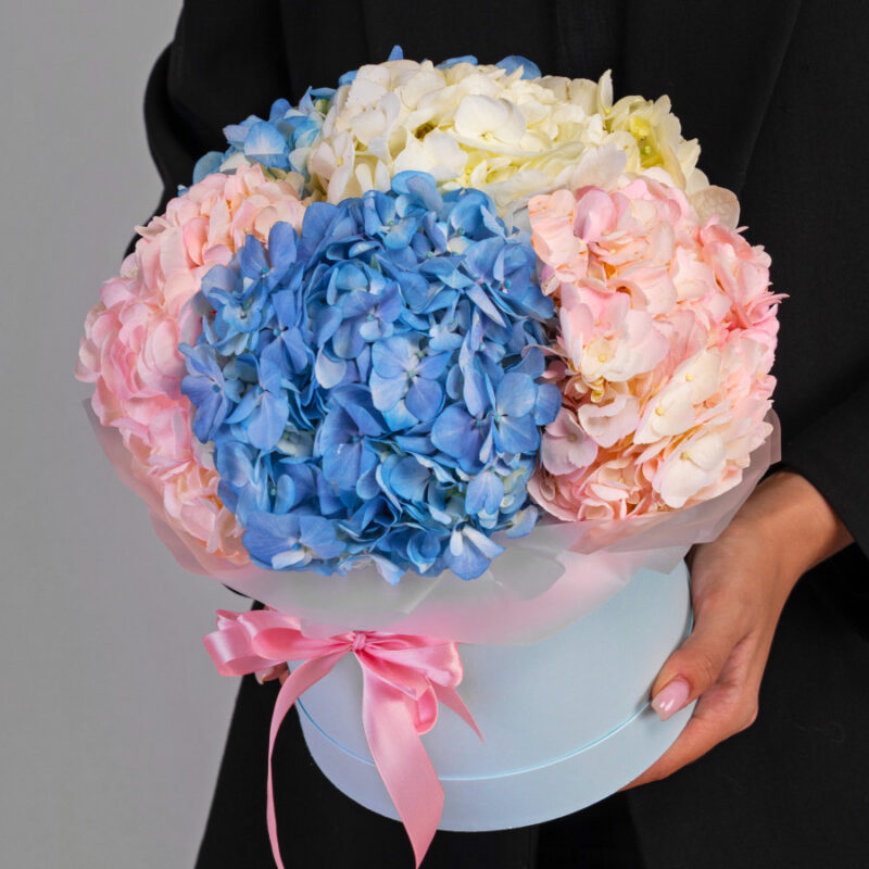 Гортензии Микс в коробке